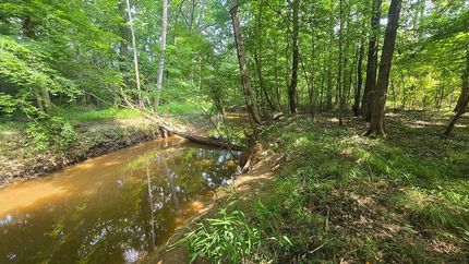 Ranch Property for sale in Montgomery County, Mississippi