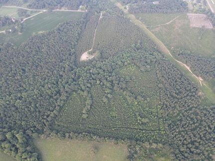 Property for sale in Jefferson Davis County, Mississippi