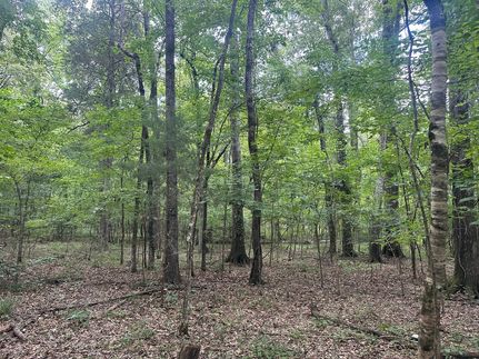 Waterfront Property for sale in Hinds County, Mississippi