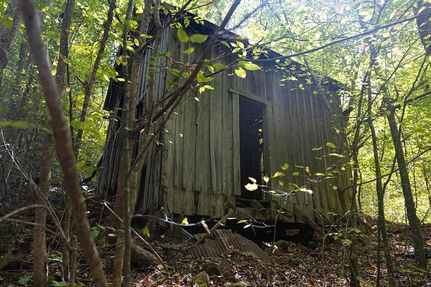 Ranch Property in Lauderdale County, Alabama