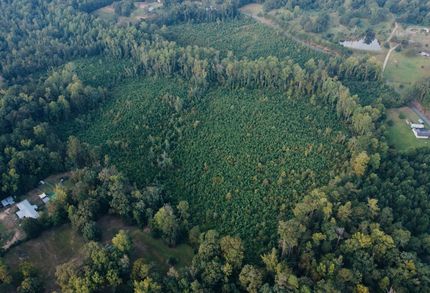 Hunting Land for sale in Lauderdale County, Mississippi