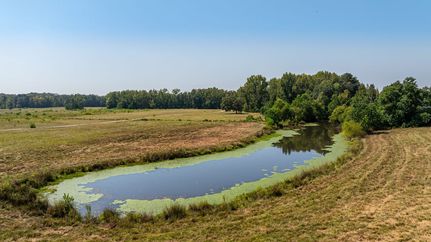 Farm Property for sale in Elmore County, Alabama