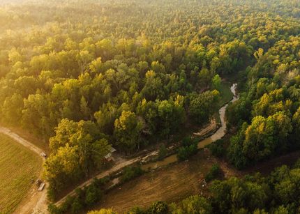 Property for sale in Leake County, Mississippi