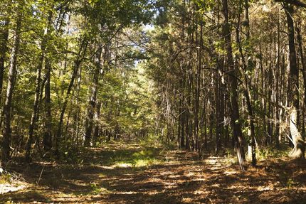 Hunting Land for sale in Hempstead County, Arkansas