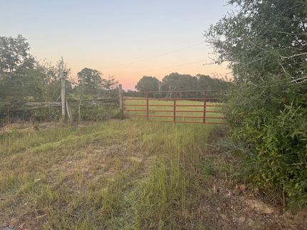 Hunting Land for sale in Lamar County, Mississippi