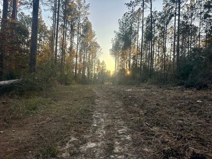 Property for sale in Copiah County, Mississippi