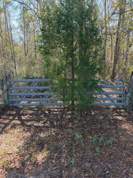 Hunting Land for sale in Crenshaw County, Alabama