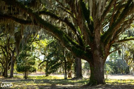 Property for sale in Georgetown County, South Carolina