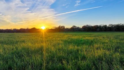 Property for sale in Guadalupe County, Texas