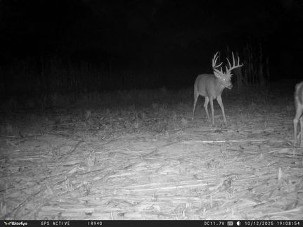 Ranch Property for sale in Brown County, Illinois