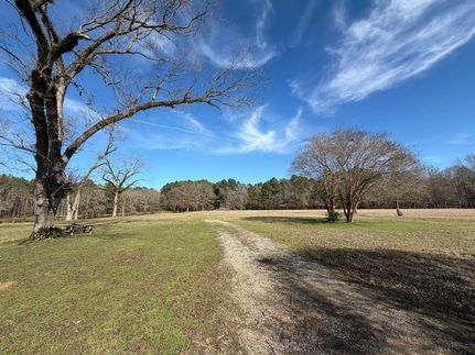 Hunting Land for sale in Clarke County, Mississippi
