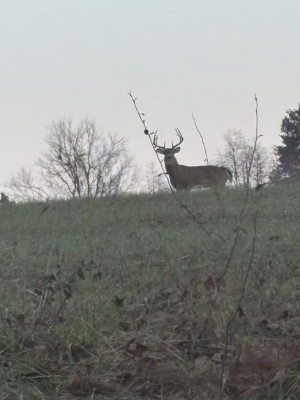 Ranch Property for sale in Johnson County, Illinois