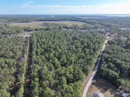 Farm Property for sale in Pamlico County, North Carolina