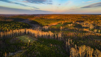 Hunting Land for sale in Franklin County, Alabama