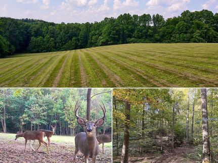 Property for sale in Vinton County, Ohio