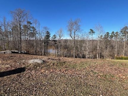 Waterfront Property for sale in Danville City County, Virginia