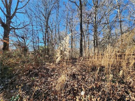 Property for sale in Wilkes County, North Carolina