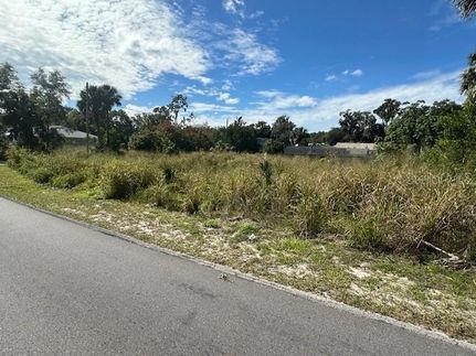 Property for sale in Volusia County, Florida