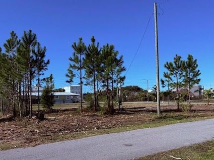 Undeveloped Land for sale in Bay County, Florida