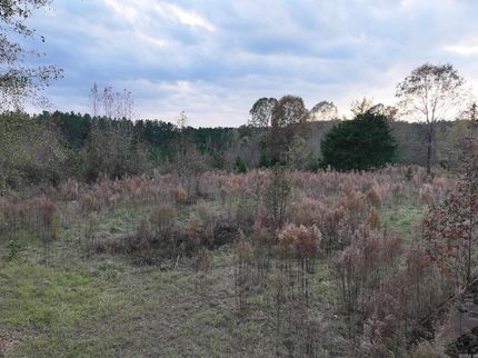 Property for sale in Clark County, Arkansas