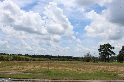 Undeveloped Land for sale in Liberty County, Georgia