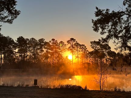 Property for sale in Candler County, Georgia