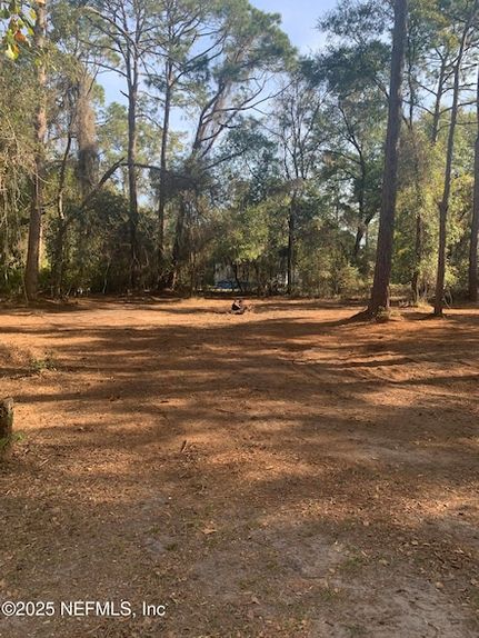 Undeveloped Land for sale in Clay County, Florida