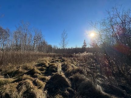 Property for sale in Saint Louis County, Minnesota