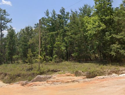 Recreational Property for sale in Putnam County, Florida