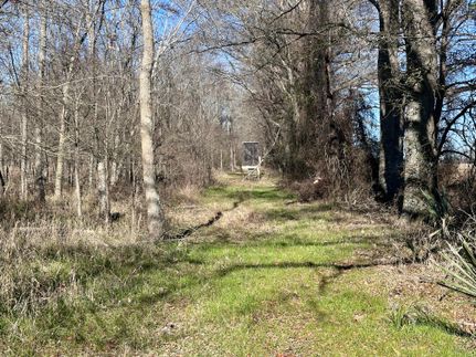 Timberland Property for sale in West Carroll Parish, Louisiana