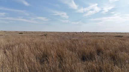 Ranch Property for sale in Bailey County, Texas