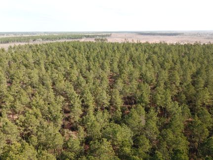 Property for sale in Sabine Parish, Louisiana