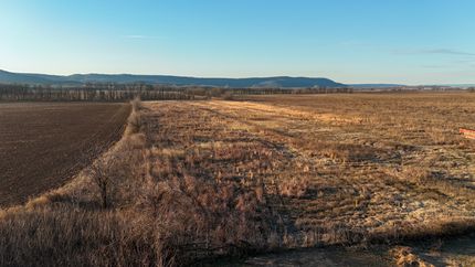 Property for sale in Yell County, Arkansas