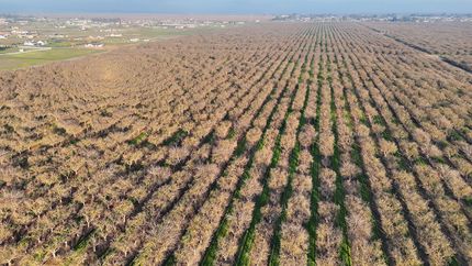 Farm Property for sale in Madera County, California