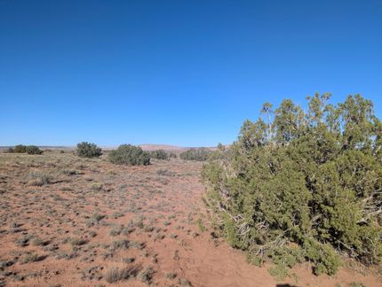 Undeveloped Land for sale in Apache County, Arizona
