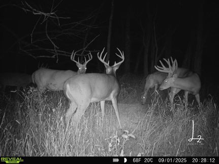 Property for sale in Neosho County, Kansas