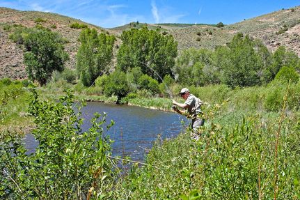 Riverfront Property for sale in Gunnison County, Colorado