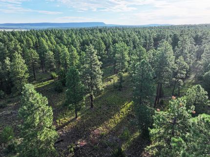 Ranch Property for sale in Cibola County, New Mexico
