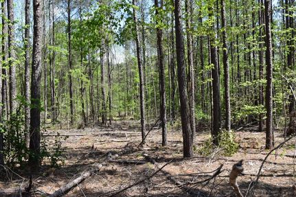 Recreational Property for sale in Union County, Arkansas