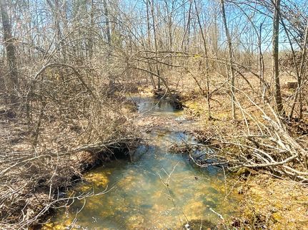 Timberland Property for sale in Pike County, Arkansas