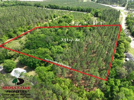 Ranch Property for sale in Pierce County, Georgia