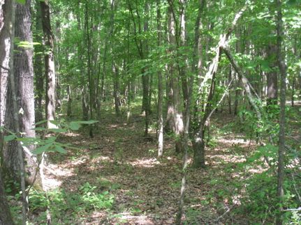 Farm Property for sale in Miller County, Arkansas