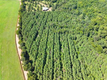 Timberland Property for sale in Sevier County, Arkansas