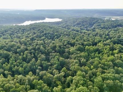 Timberland Property in Stewart County, Tennessee