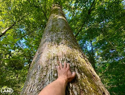 Property for sale in George County, Mississippi