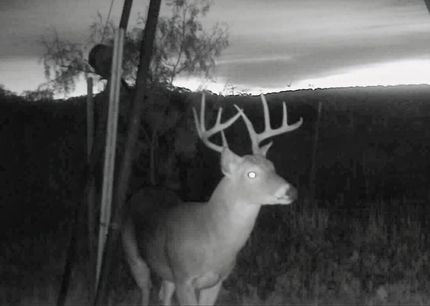 Property for sale in Nolan County, Texas