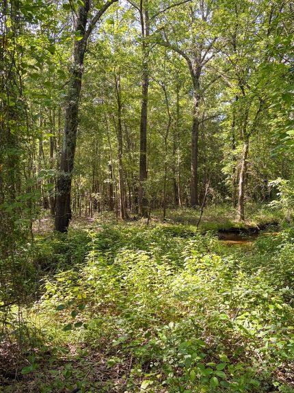 Recreational Property for sale in Perry County, Arkansas