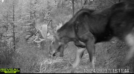 Farm Property for sale in Stevens County, Washington