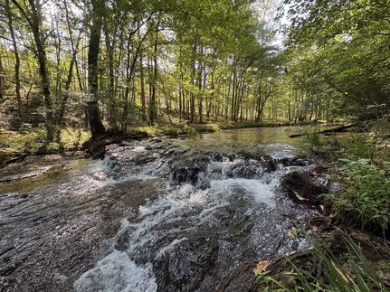 Hunting Land for sale in Wayne County, Tennessee