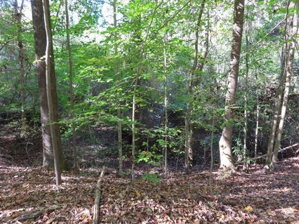 Undeveloped Land for sale in Lancaster County, South Carolina